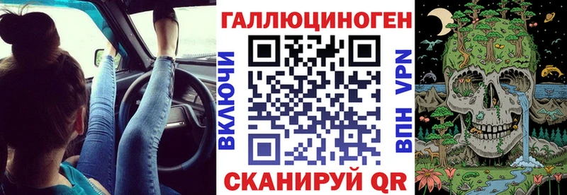 где найти   Красный Кут  Псилоцибиновые грибы Magic Shrooms 